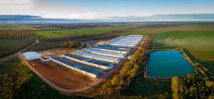 bendigo-commercial-photographer-agriculture-35