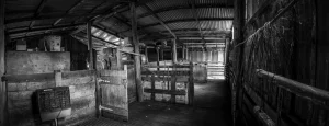 bendigo-commercial-photographer-people-and-places-10